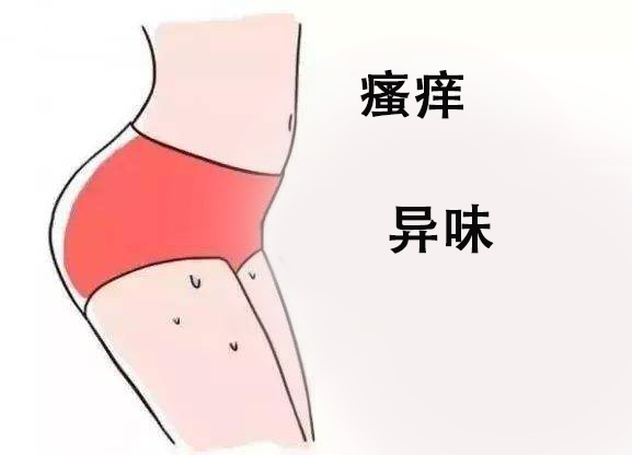 女性私处