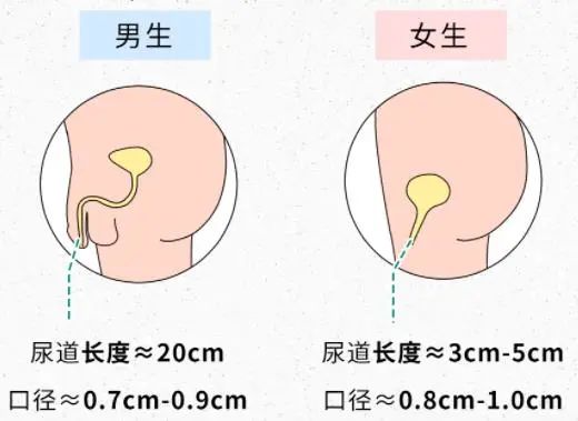 微信图片_20221201173123.jpg